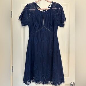 Astr Midnight Blue Lace Midi Dress